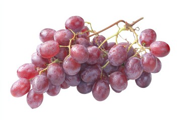 Fototapeta premium A bunch of red grapes glistening with water droplets.