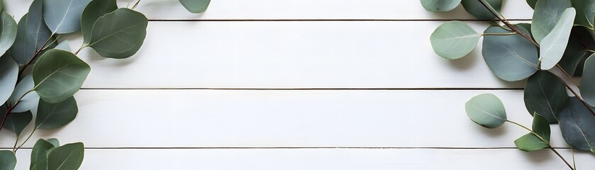Delicate eucalyptus sprigs on a white wooden surface