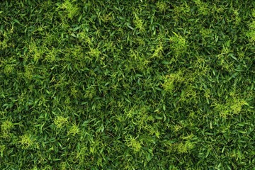 Dense green foliage wall texture