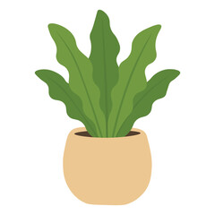 Flat vector illustration of asplenium houseplant with wavy leaves in a round pastel pot.