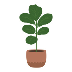 Flat cartoon fiddle leaf fig plant with large leaves in a round patterned ceramic pot.