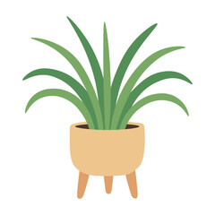 Flat vector spider plant with arched green leaves in a modern pot on wooden legs.