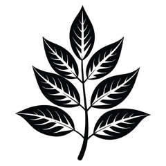 Stylized Leaf Branch Illustration, Black and White Botanical Graphic Element Design