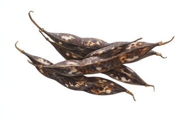 Fototapeta premium Dried seed pods with mottled brown and black coloring, isolated on white.