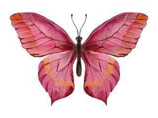 Watercolor pink butterfly with orange accents, isolated on transparent background