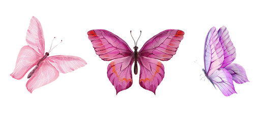 Set of three watercolor butterflies in pink and violet shades. Isolated on a white background