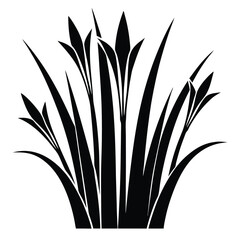 Bold Black Silhouette of Iris Flowers with Elongated Leaves Graphic Art