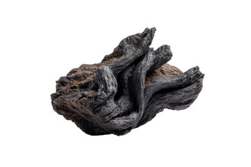 PNG Natural driftwood sculpture with raw textures on black background