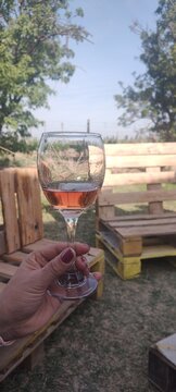 Ta&ccedil;a de vinho em um vinhedo