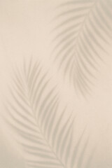 Soft palm leaf shadows on beige wall background