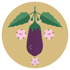Eggplant with leaves and flowers. Ripe purple eggplant. Symmetrical flat illustration on a circle background for label or packaging.