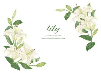 水彩で描いた白いカサブランカのフレーム素材