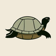 Close view of turtle hiding inside its shell, captured in natural outdoor setting