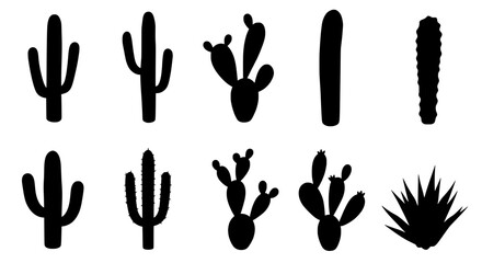 Desert Flora Silhouettes: A collection of detailed silhouettes showcases various cactus species, capturing the essence of arid landscapes with their distinct forms and textures.