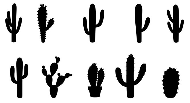 Cactus Silhouette Collection: A diverse collection of cactus silhouettes, perfect for design projects needing a southwestern or desert theme. Various shapes and sizes are included.