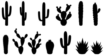Desert Flora: A collection of silhouetted cacti showcases the diverse beauty of the arid landscape, capturing the resilience and unique forms of desert plant life.