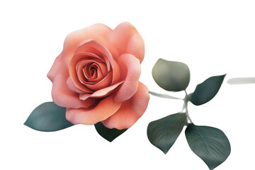 Capture Peach Rose Bloom and Bud in Studio Lighting and Delicate Bloom