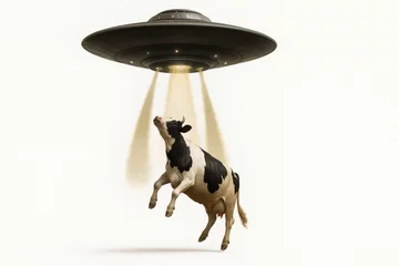 Gordijnen Cow being abducted by UFO alien spaceship with glowing beams, white background © Kleber
