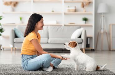Joyful young asian woman in casual sitting on floor in living room, training her smart fluffy puppy...