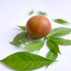 High angle view of food on table High angle view of food on table