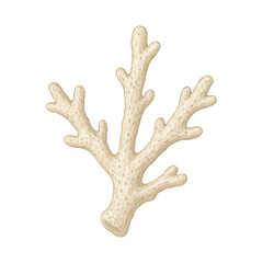 White Coral Branch Vector – Realistic Handmade Fragment with Porous Texture