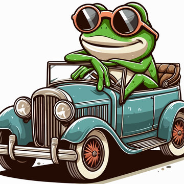 cartoon vector illustration of a frog driving a car on a white background