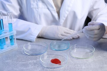 Scientist with Petri dishes and pipette at table, closeup