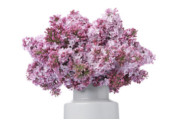 Branches with beautiful lilac flowers in vase isolated on white