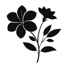 Minimalist Black and White Flower Silhouette Botanical Illustration