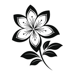 Fototapeta premium Detailed Black and White Floral Design with Graceful Symmetry