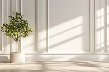 Small Plant In Modern Empty Room