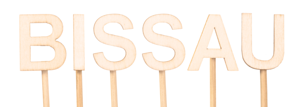 Bissau, capital of Guinea-Bissau, in wooden letters isolated on white background, conceptual image for geographic content