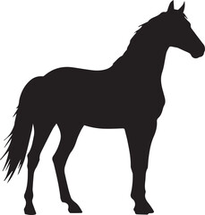 silhouette of a horse
