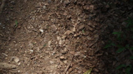 Soil texture with brown earthy surface and fine grain, useful for agriculture themes, gardening blogs, or ground layers in design.