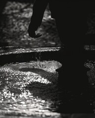 shadowy figure pocketing coins from a wishing fountain on theft noir urban .