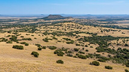 Fototapeta premium Expansive view of rolling hills and sparse vegetation under a clear blue sky