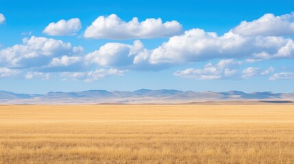 Expansive golden grassland under a bright blue sky with fluffy clouds and distant mountains