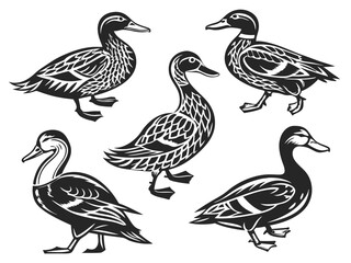 Stylized Duck Vector Set – Black and White Illustrations in Folk and Vintage Style