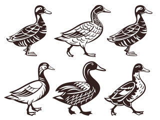 Stylized Duck Vector Set – Black and White Illustrations in Folk and Vintage Style