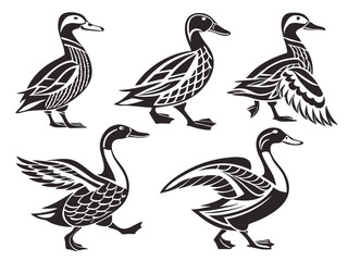 Fototapeta premium Stylized Duck Vector Set – Black and White Illustrations in Folk and Vintage Style