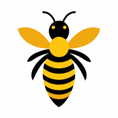 Honey bee vector on white background.