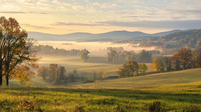 A sunrise casting golden light over rolling hills