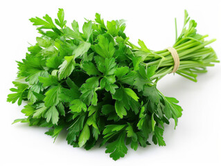 fresh parsley isolated on white background