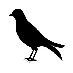 bird silhouette on transparent background for web and graphic design