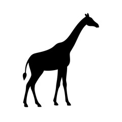 Giraffe silhouette on transparent background for web and graphic design