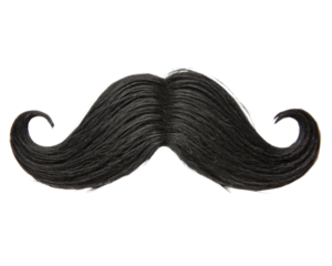 Black handlebar mustache realistic hair on a transparent background