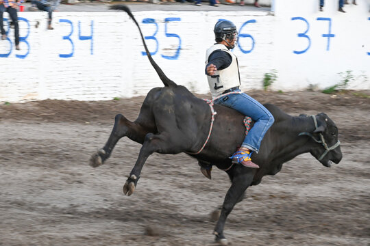 vaquero