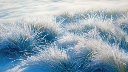 Obraz premium Frost-Kissed Grass Blades in Winter Landscape with a Cool Blue Hue and Delicate Ice Crystals