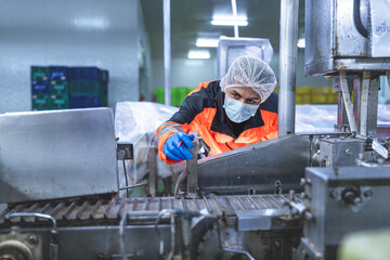 Fototapeta premium Food and manufacturing researchers oversee seafood production lines in tightly controlled factories where machinery is used to produce and cook food before it is shipped out.