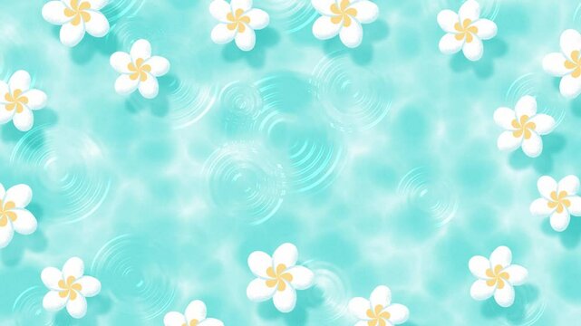 summer background with white plumeria flowers floating in water animation